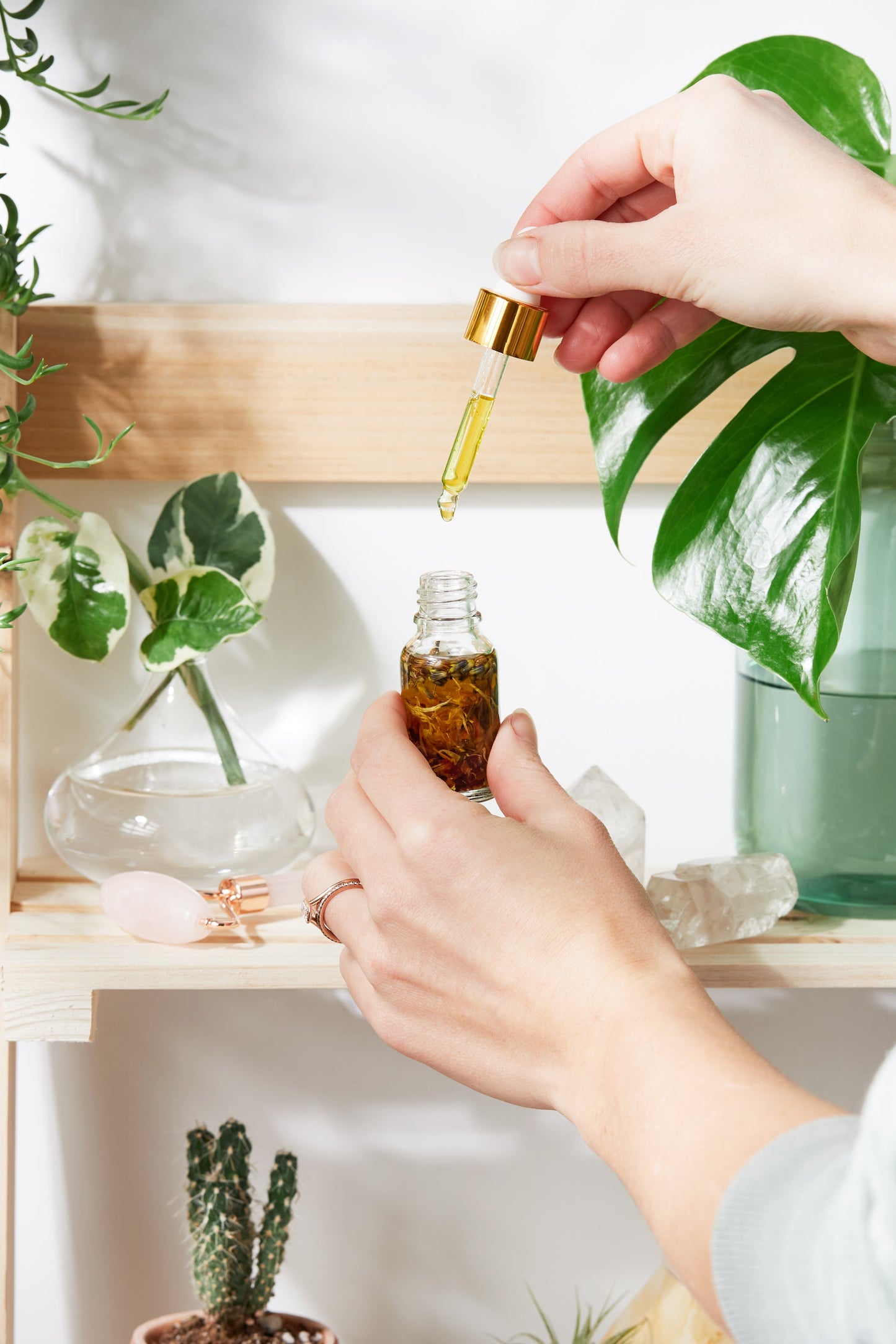 Anti Aging / Youth Serum / Facial Serum / Butter Me Up Organics / Bota