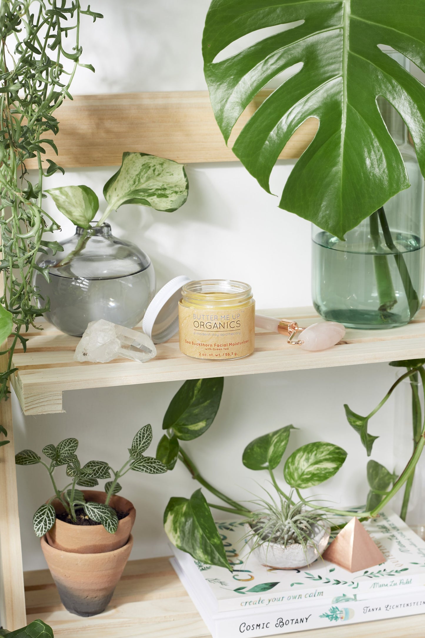 Sea Buckthorn Facial Moisturizer / Organic Face Moisturizer / Facial C